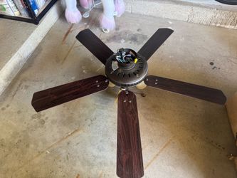 Fan with lights