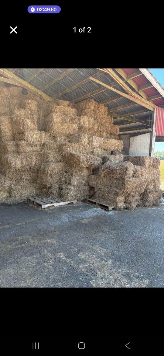 Hay Black Friday Sale