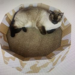 Cat Scratching Post Lounge 