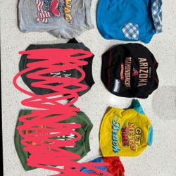 Small Dog Clothes 