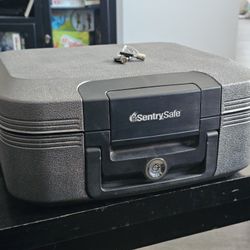 Sentry Safe