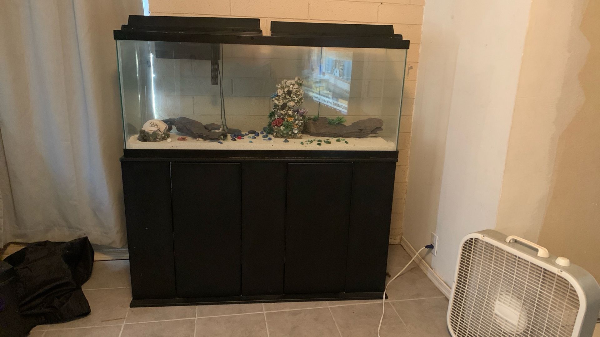 55 Gal Fish Tank