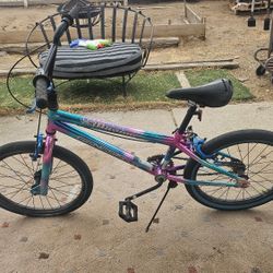 Girls 20" Bike