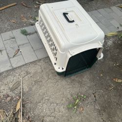 Dog Kennel