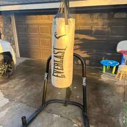 70lb Everlast Punching Bag With Stand