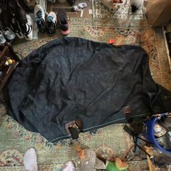 Big D Teal Colored, Paisley Sheet Blanket Limited Edition