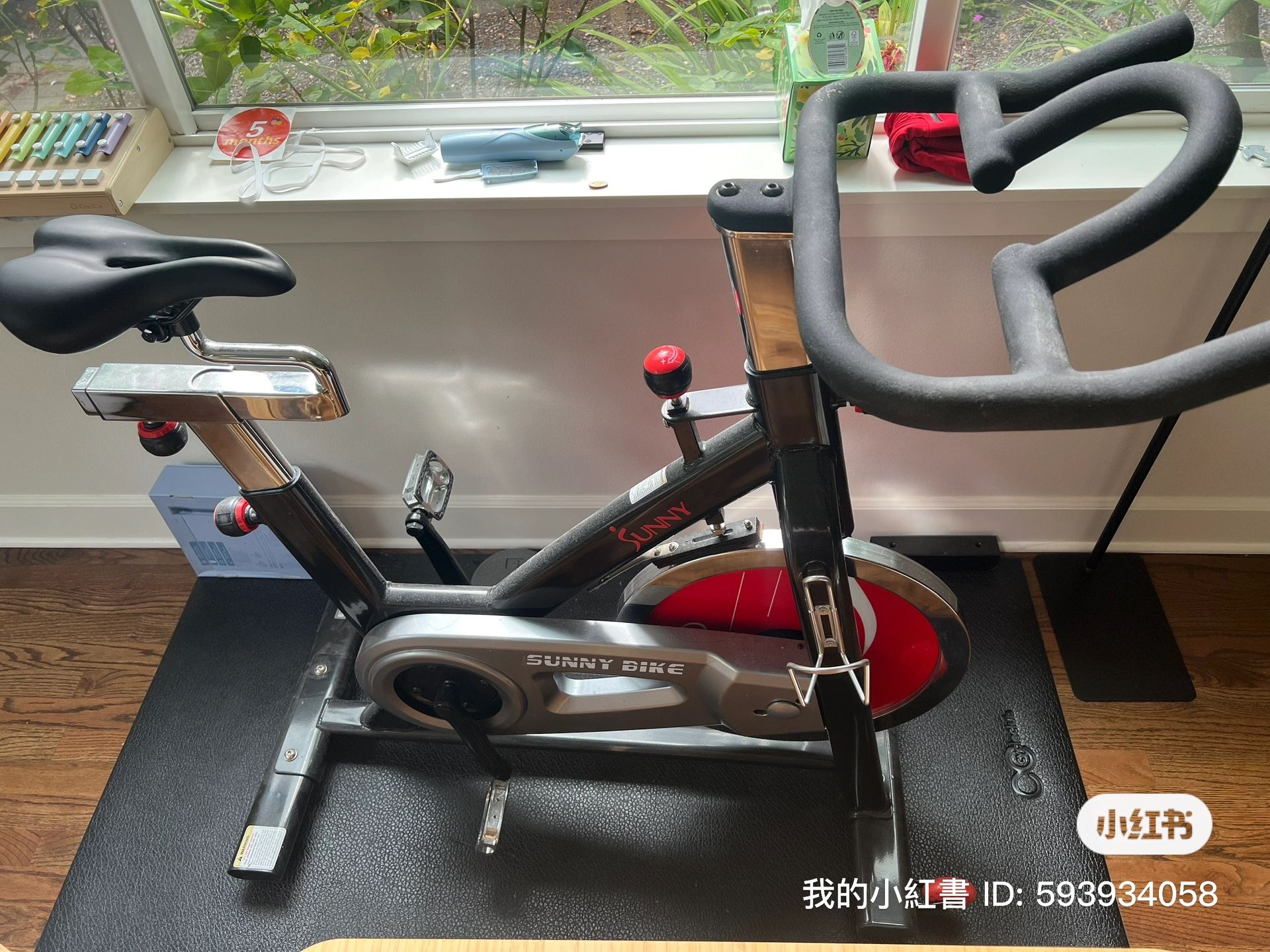 Exercise Bike