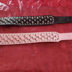 Spike Dog Collars 