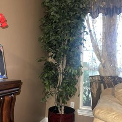 Artificial Trees & Plant