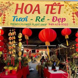 Chợ hoa tết Lunar New Year Flowers 