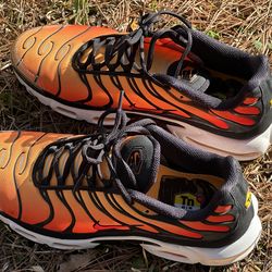 Size 12 sunset Nikes