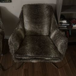 Furry Chairs 