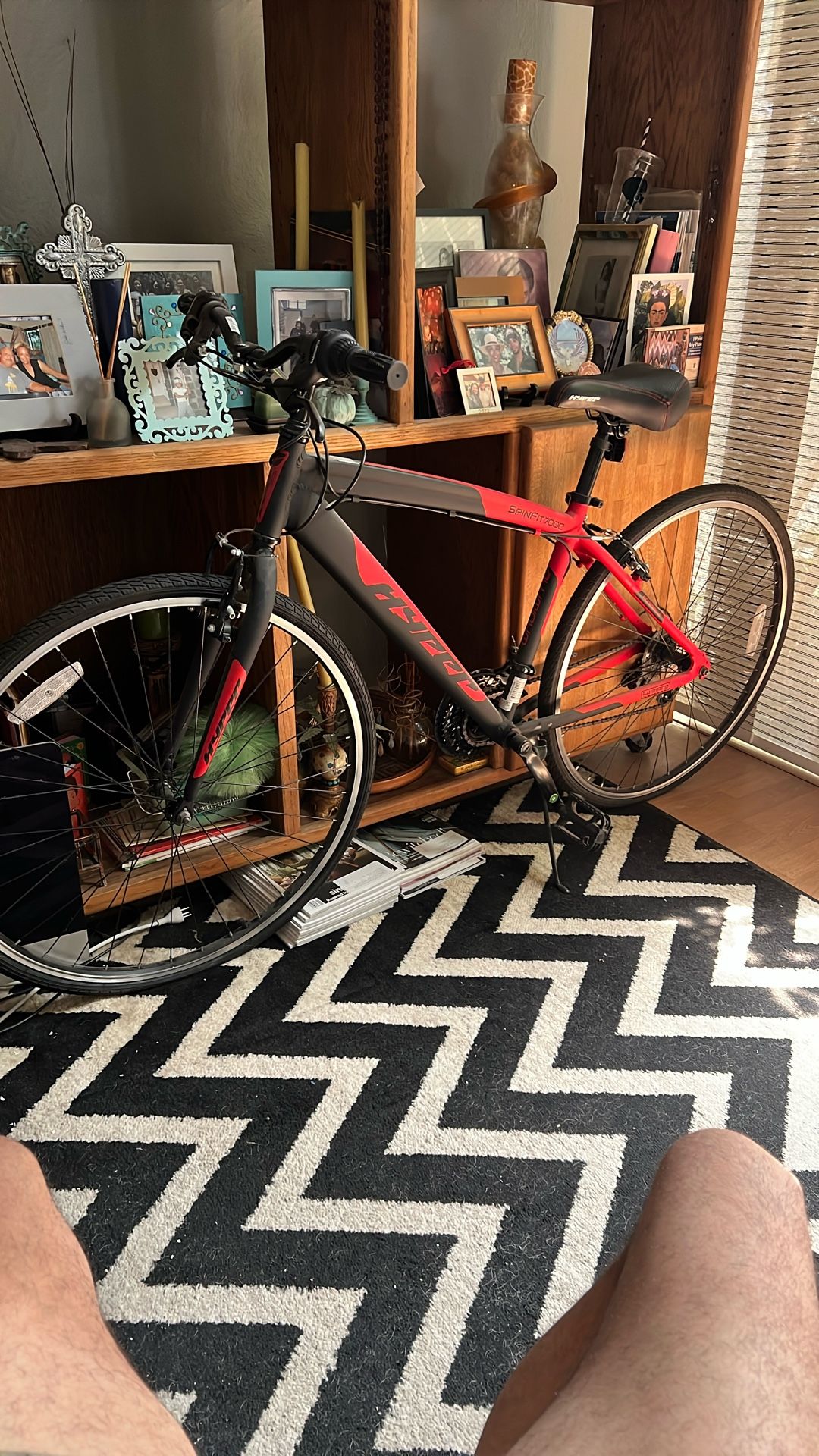 New mountain Bike $165