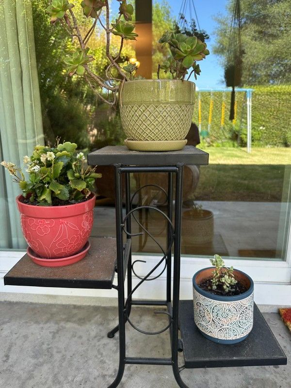 Plant Stand (With Or Without Plants)