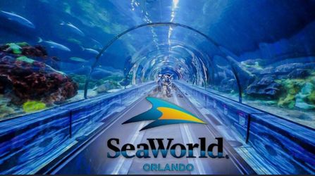 Sea world tickets