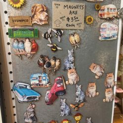 Fridge Magnets