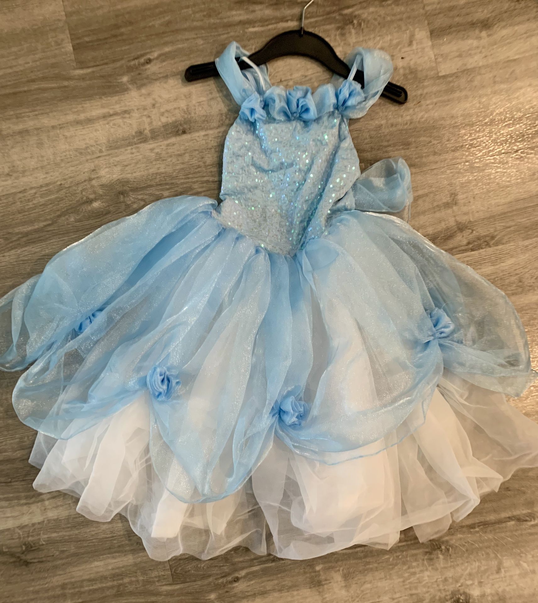 Cinderella Princess Costume