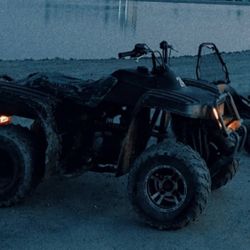 1999 Yamaha Yamaha Bear Tracker