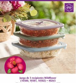 RECIPIENTES DE PRINCESS HOUSE 🌼🌼🌼