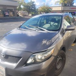 2010 Toyota Corolla