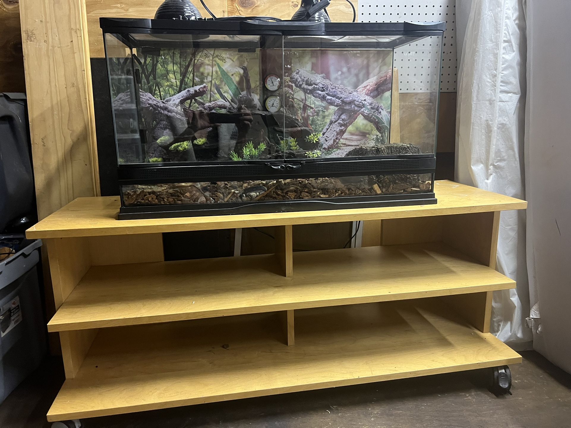 Terrarium