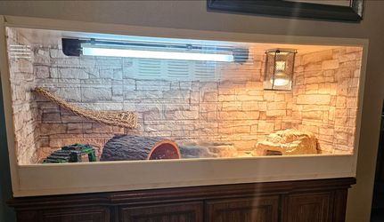 Large Custom Reptile Bearded Dragon Enclosure Sliding Glass Front Doors