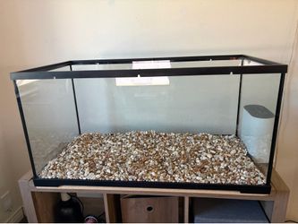 40 gallon aquatic turtle tank with lid