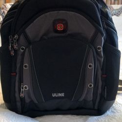 Swiss Gear Backpack