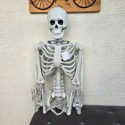BRAND NEW 7ft Posable Skeleton / Halloween Decor / Halloween Decorations