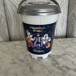 Disneyland popcorn bucket