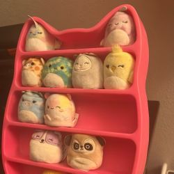 Squishmallow Squishville Display + Squish