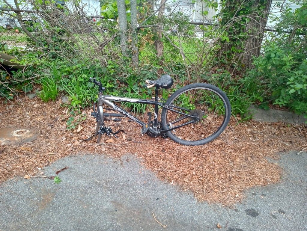 Gary Fisher Zebrano Frame 24 Speed