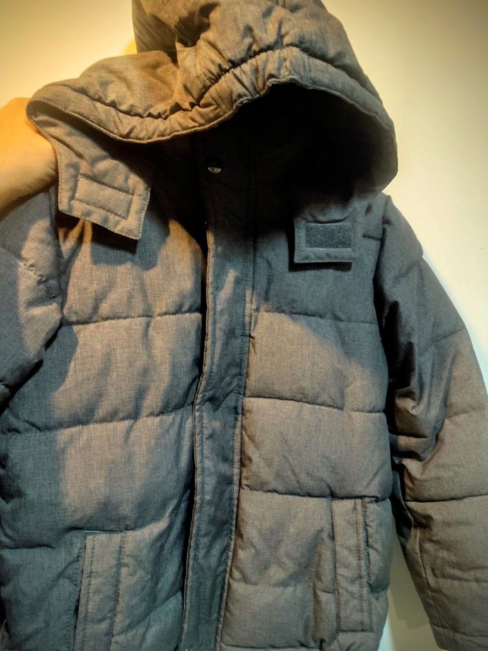 Nautica L/G 7 Grey Jacket