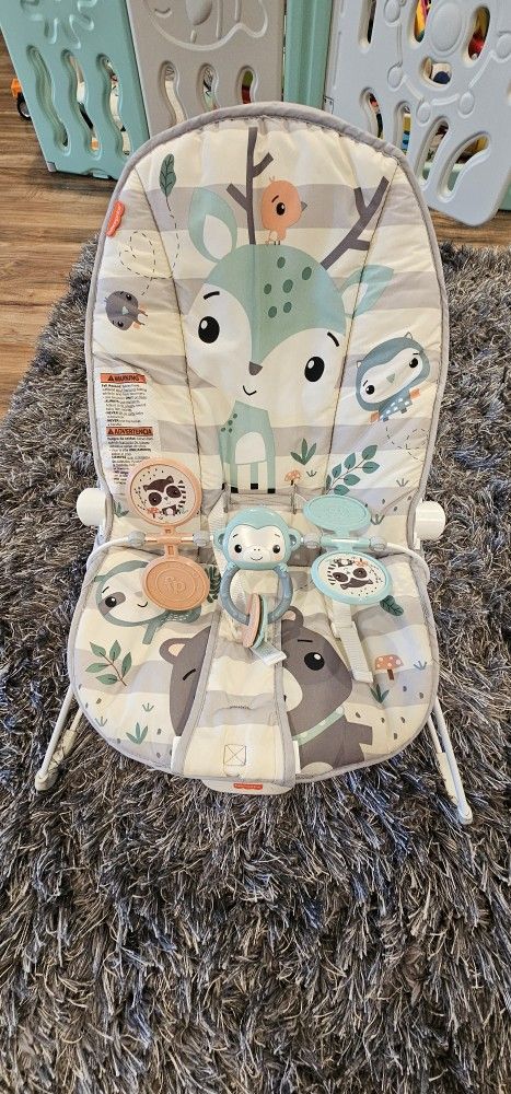 Fisher Price Vibrating Baby Bouncer Seat