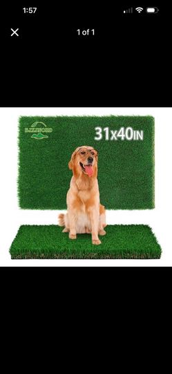 Turf For a dog