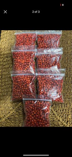 Chile Chiltepin