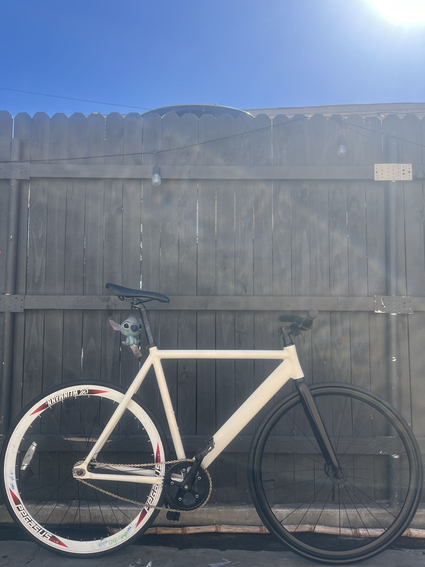 Track Bike / Fixed Gear