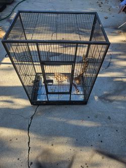 Bird cage