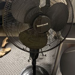 Fan