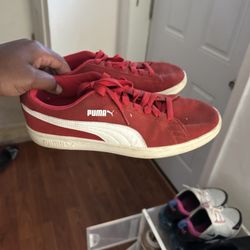 Balled Up Pumas