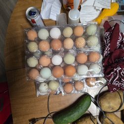 Farm Fresh Eggs 