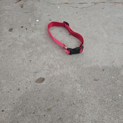 Large Adjustable Red Dog Collar