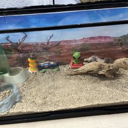 Tank With Bearded dragon Include Everything Same Price