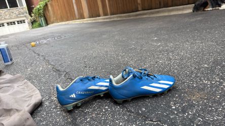Adidas,blue.