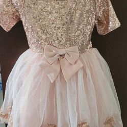 Dillard's Beautiful Rose Gold Dress w/unicorns 