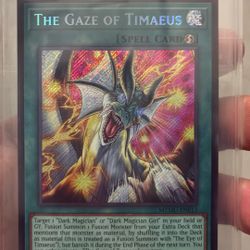 THE GAZE OF TIMAEUS