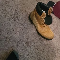 Timberland Size 11 Canvas Editions