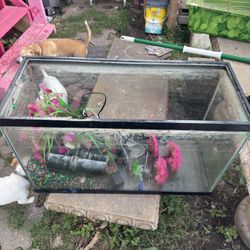 20 Gallon Fish Tank Aquarium
