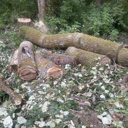 FREE FIREWOOD IN GRAHAM WA 