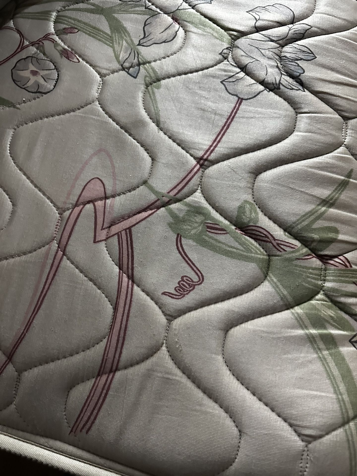 Free Queen Mattress And Frame